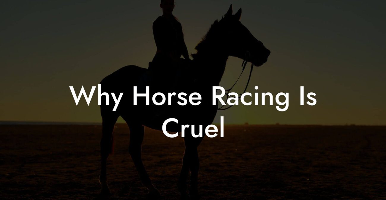 Why Horse Racing Is Cruel