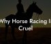 Why Horse Racing Is Cruel