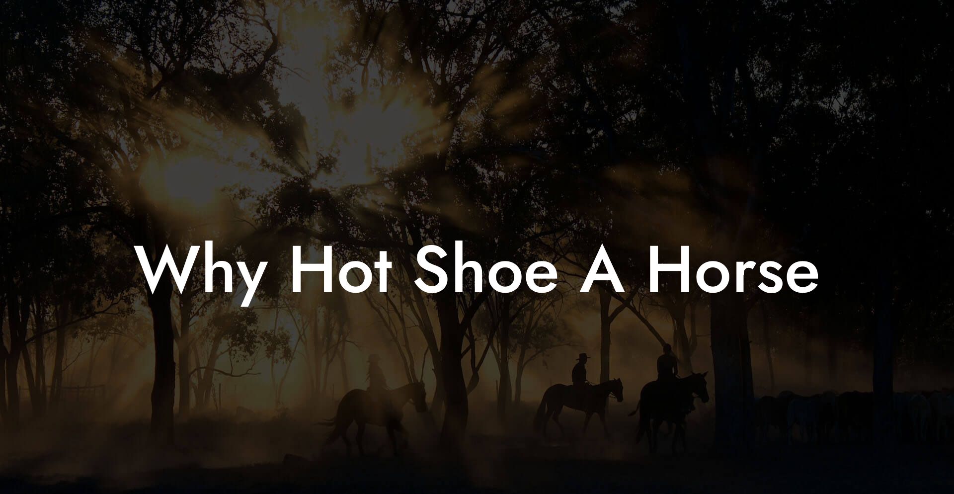 Why Hot Shoe A Horse