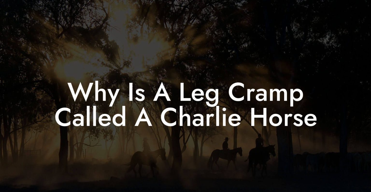Why Is A Leg Cramp Called A Charlie Horse How To Own a Horse