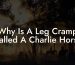 Why Is A Leg Cramp Called A Charlie Horse