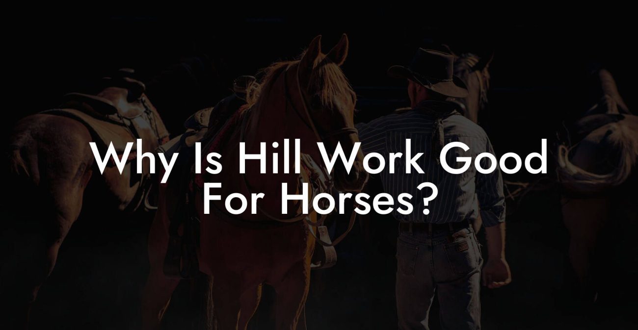 Why Is Hill Work Good For Horses?