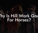 Why Is Hill Work Good For Horses?