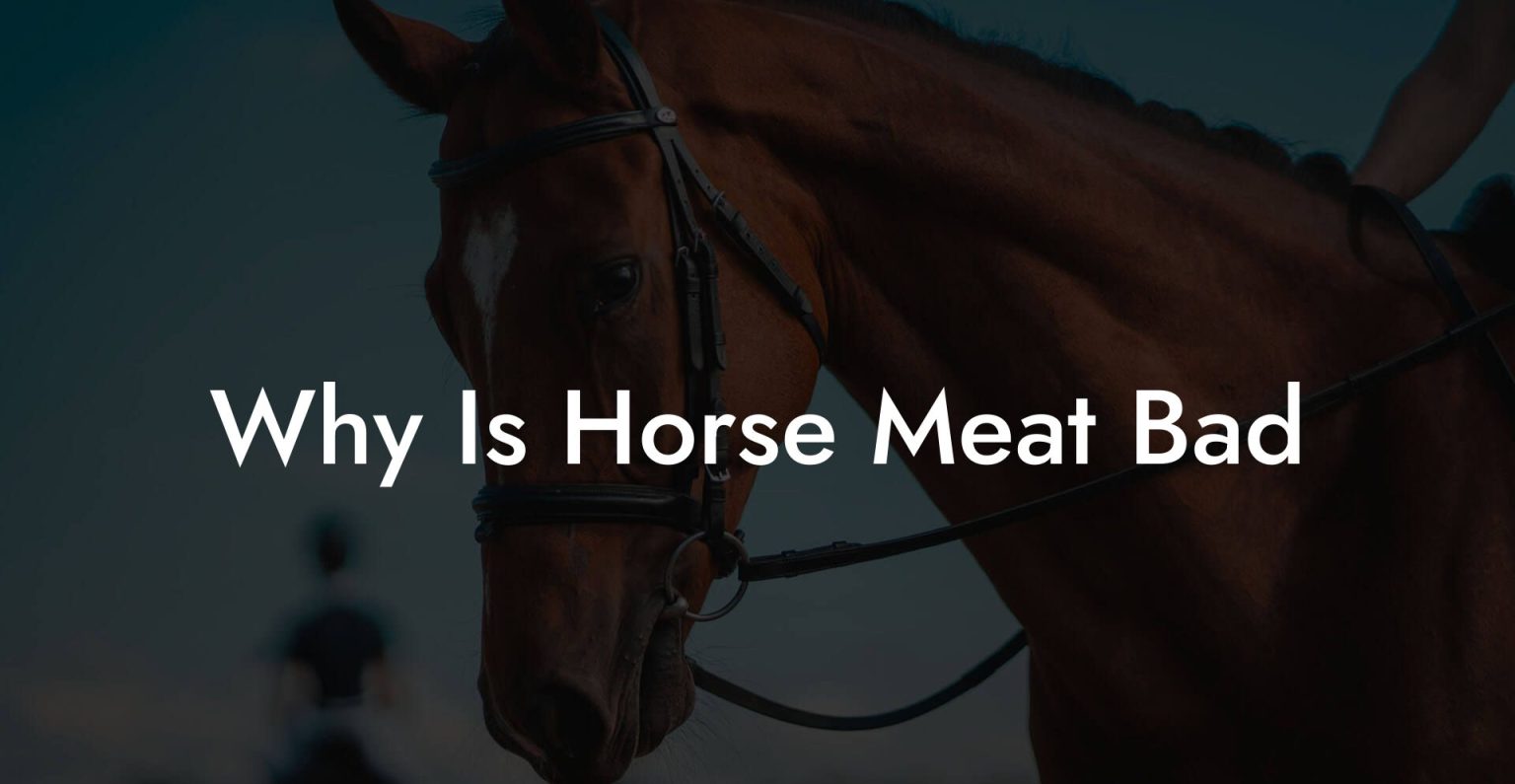 Why Is Horse Meat Bad How To Own a Horse