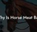 Why Is Horse Meat Bad