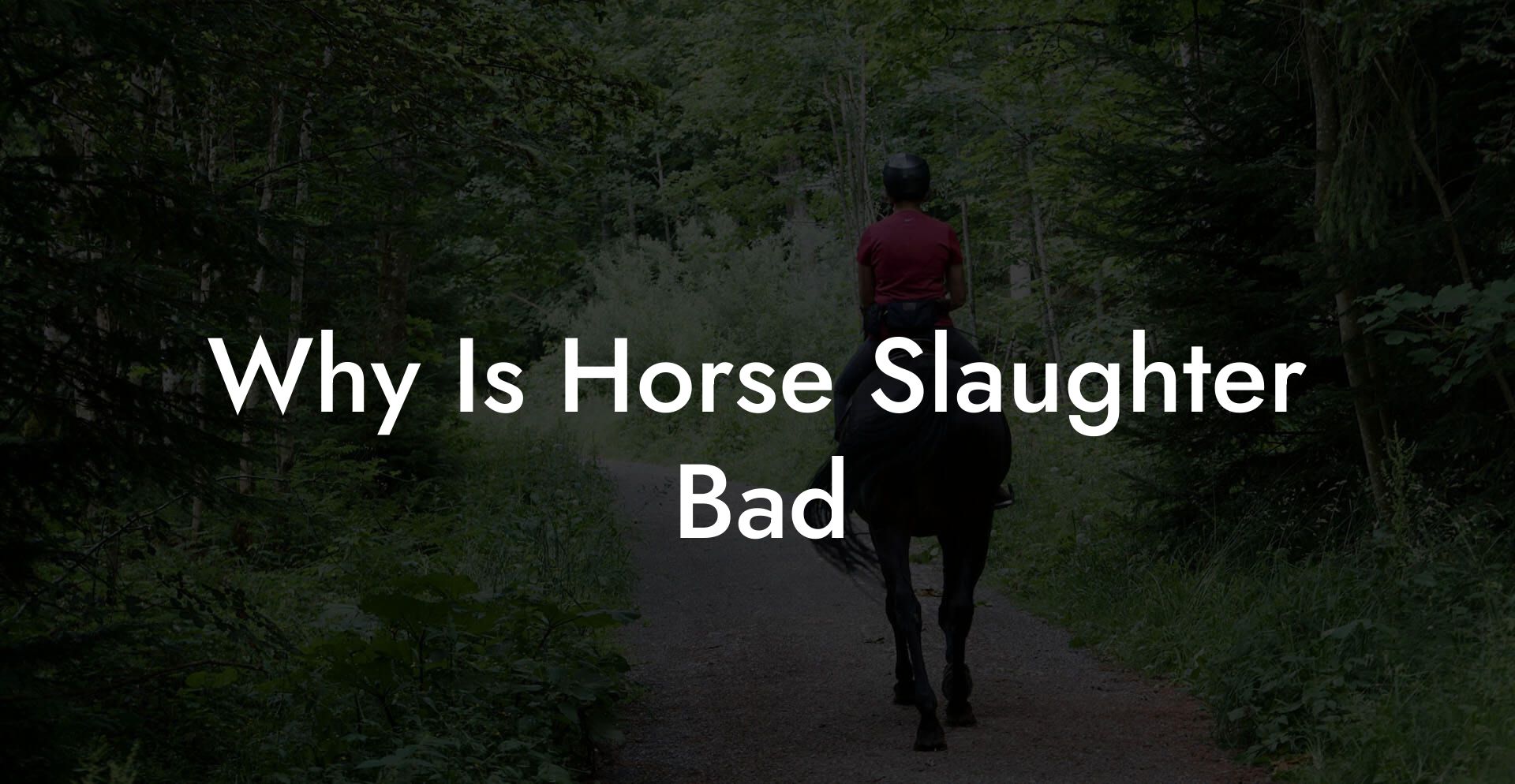 Why Is Horse Slaughter Bad