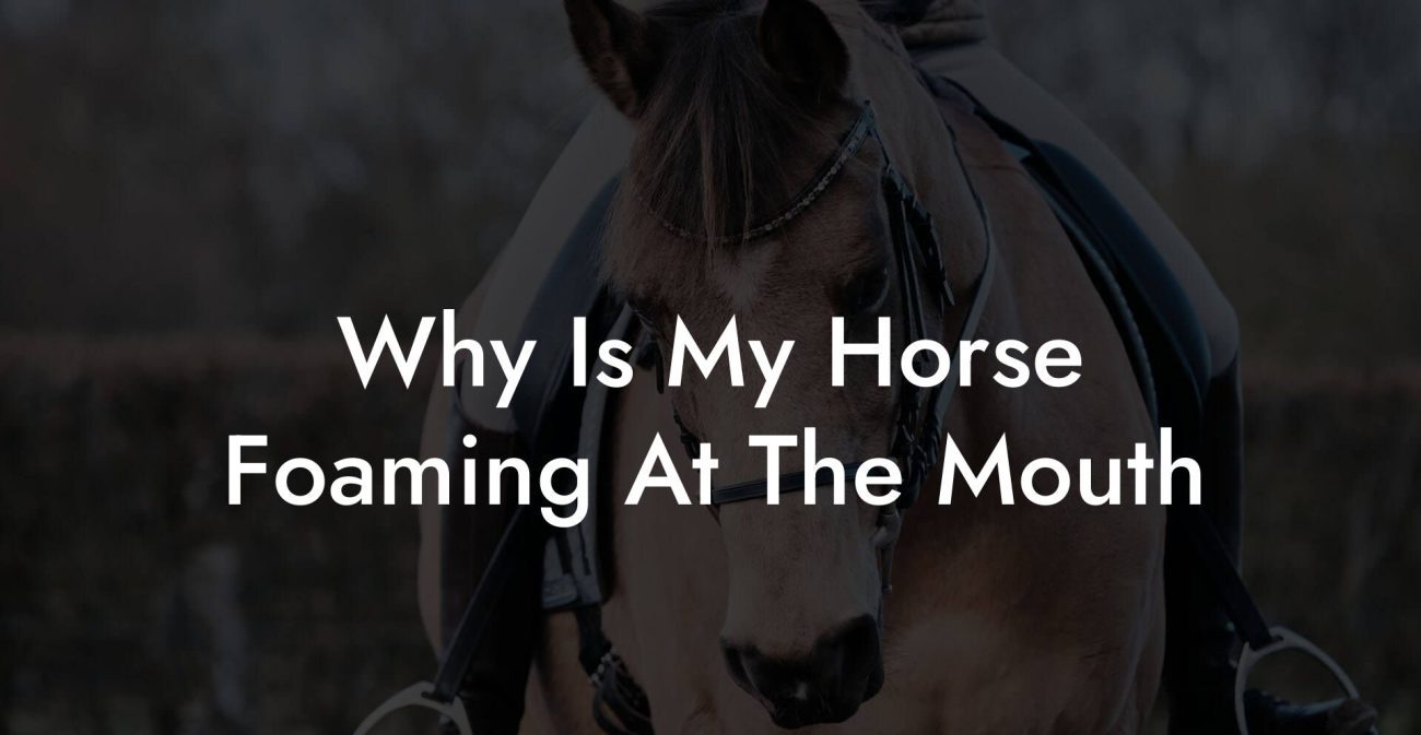 Why Is My Horse Foaming At The Mouth