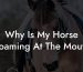 Why Is My Horse Foaming At The Mouth
