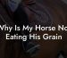 Why Is My Horse Not Eating His Grain