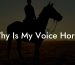 Why Is My Voice Horse