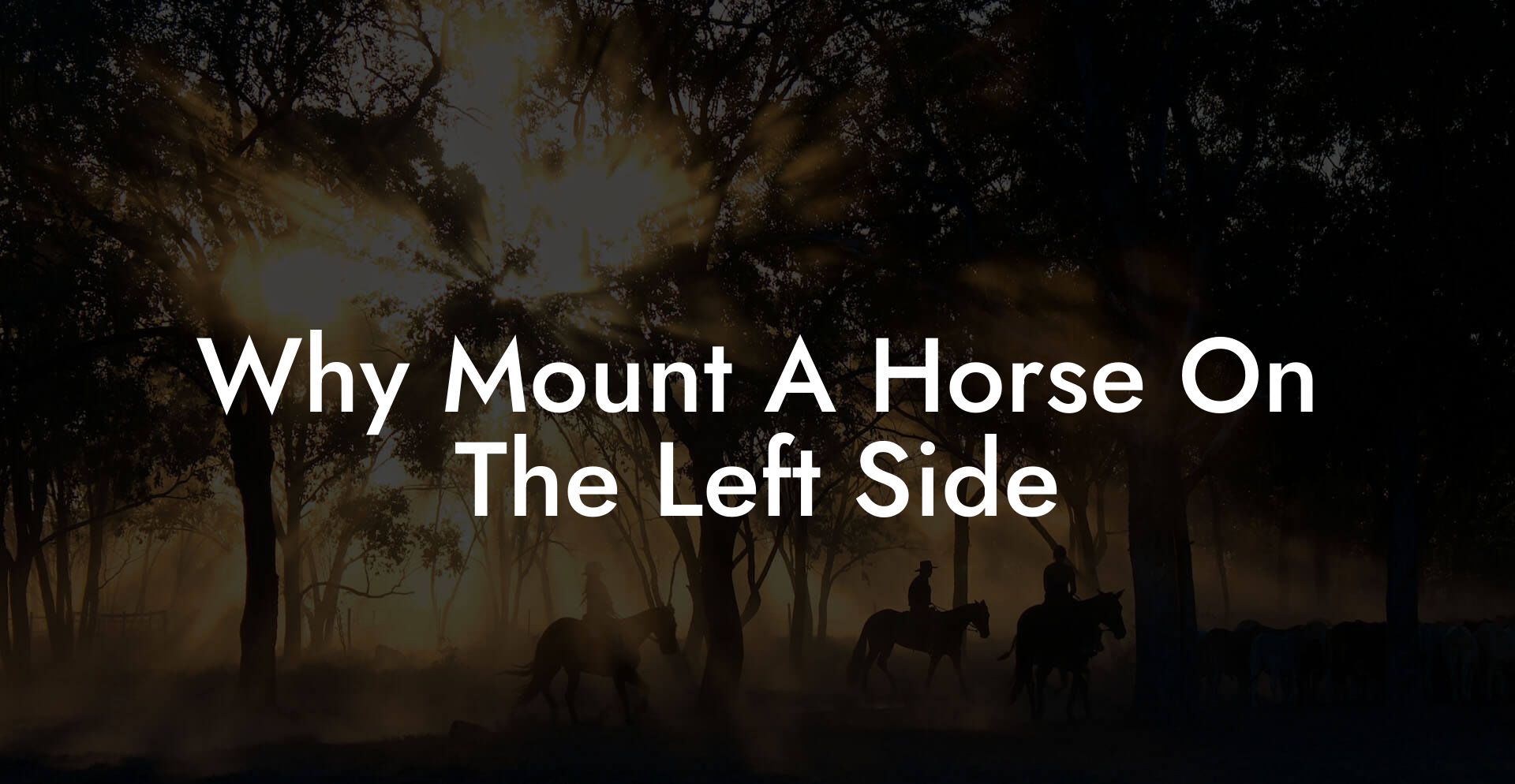 Why Mount A Horse On The Left Side - How To Own a Horse