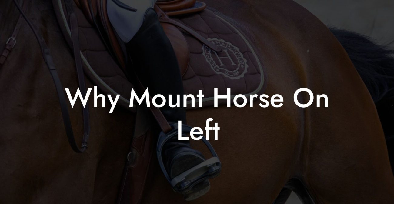 Why Mount Horse On Left