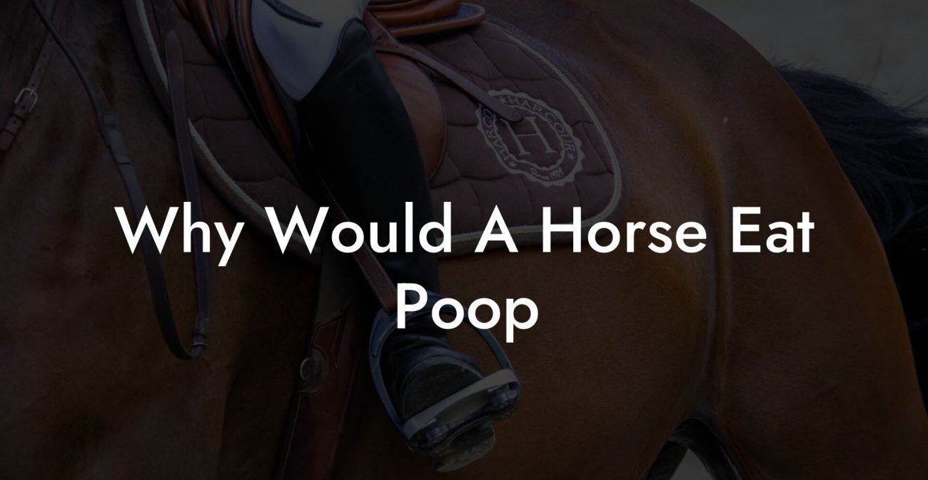 Why Would A Horse Eat Poop