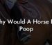 Why Would A Horse Eat Poop