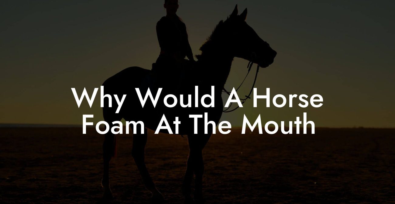 Why Would A Horse Foam At The Mouth