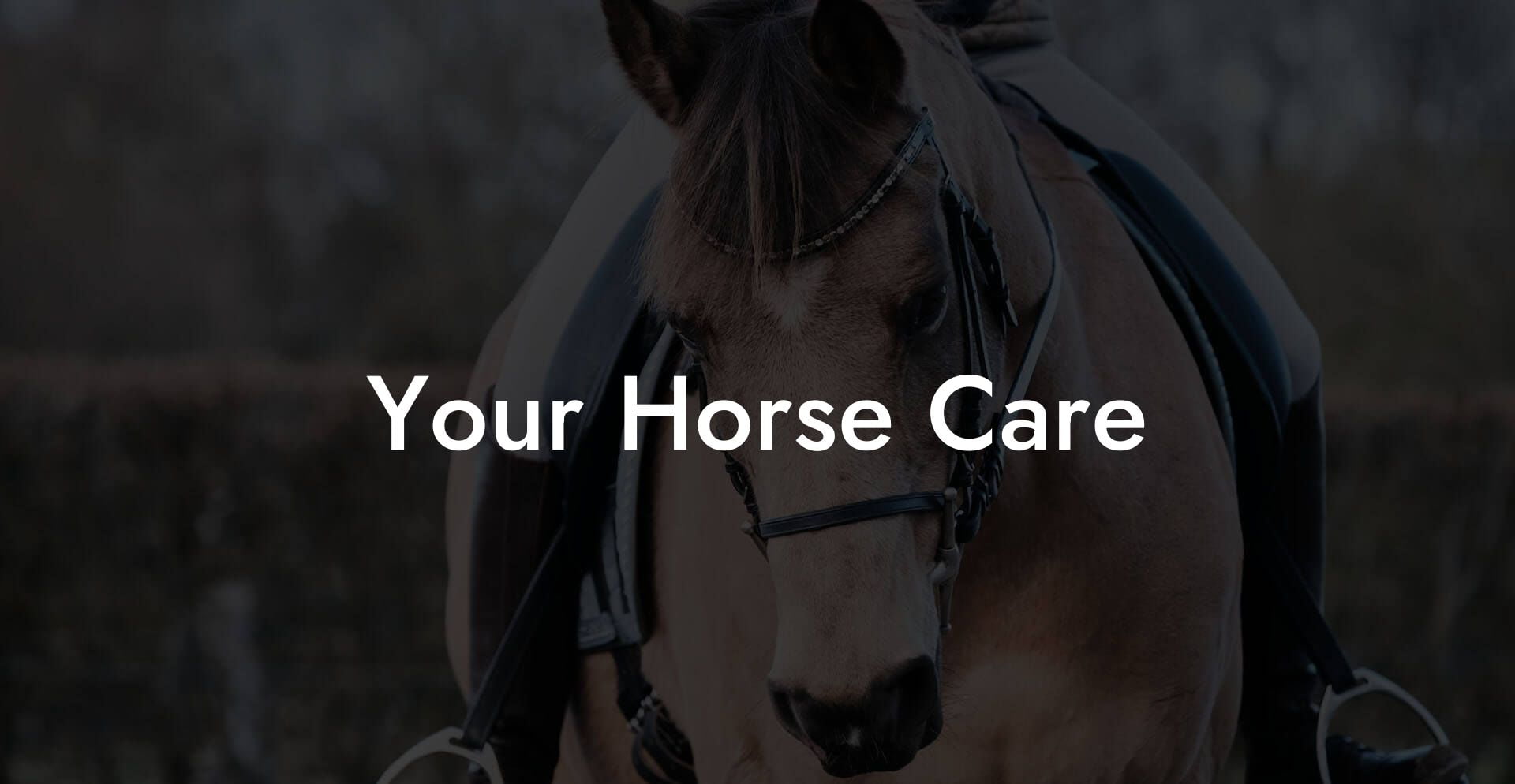 Your Horse Care